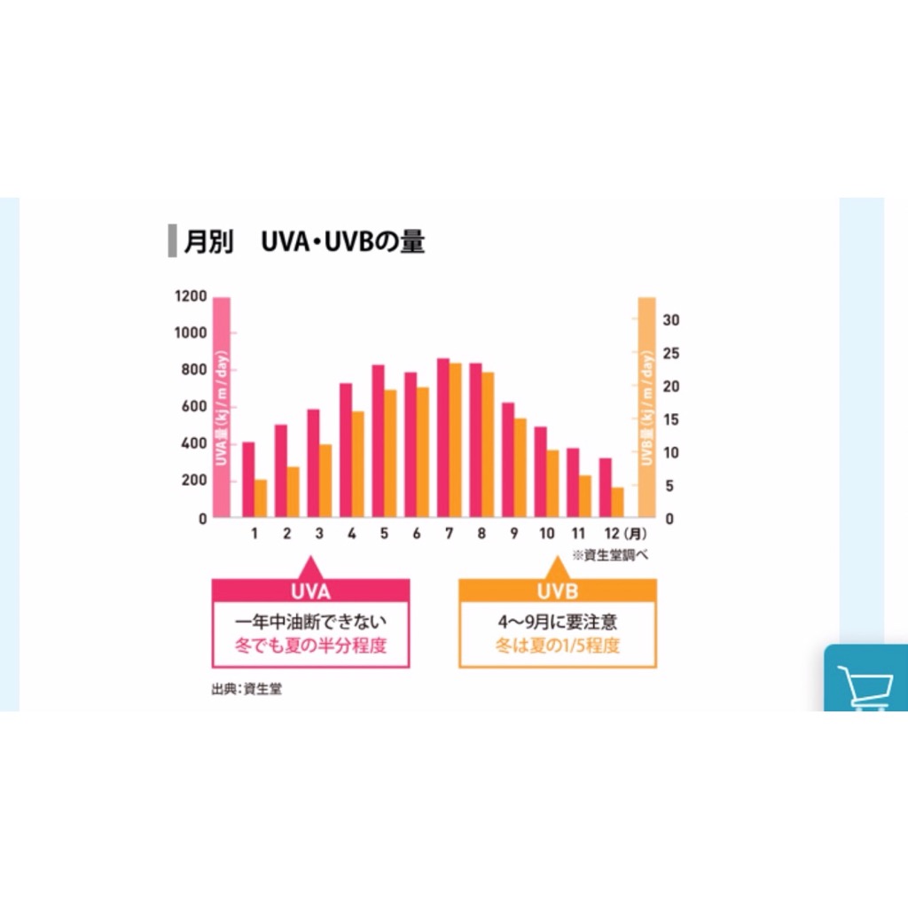 更にこれからの季節は